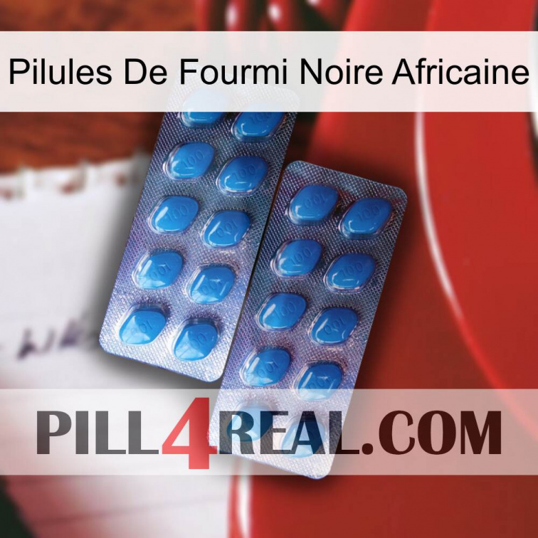 African Black Ant Pills viagra2